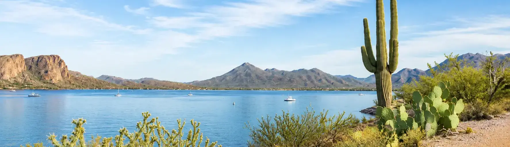 Desert lakeside scene with a tall saguaro cactus on the right, desert shrubs in the foreground, a calm blue lake, and distant mountains under a clear sky.