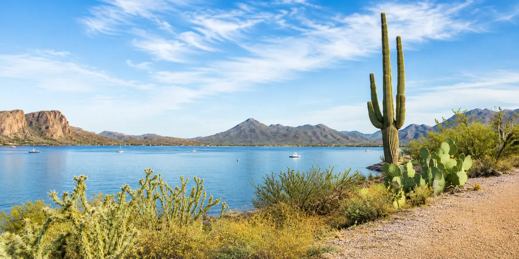 Desert lakeside scene with a tall saguaro cactus on the right, desert shrubs in the foreground, a calm blue lake, and distant mountains under a clear sky.